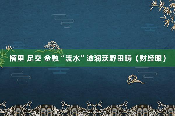 楠里 足交 金融“流水”滋润沃野田畴（财经眼）