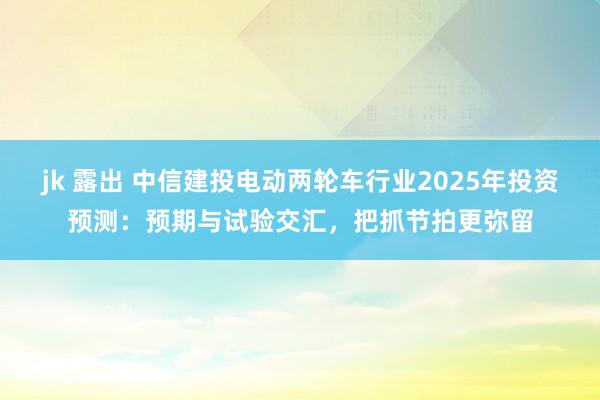 jk 露出 中信建投电动两轮车行业2025年投资预测：预期与试验交汇，把抓节拍更弥留