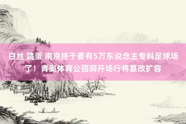 白丝 跳蛋 南京终于要有5万东说念主专科足球场了！青奥体育公园洞开场行将篡改扩容