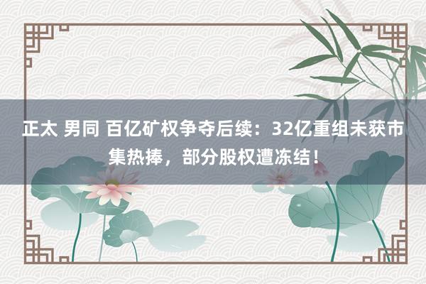 正太 男同 百亿矿权争夺后续：32亿重组未获市集热捧，部分股权遭冻结！