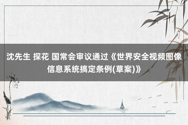 沈先生 探花 国常会审议通过《世界安全视频图像信息系统搞定条例(草案)》