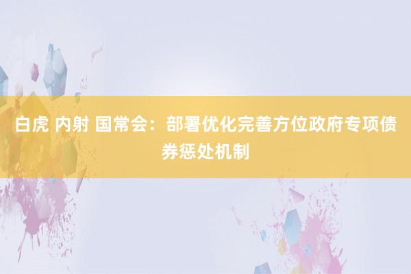 白虎 内射 国常会：部署优化完善方位政府专项债券惩处机制