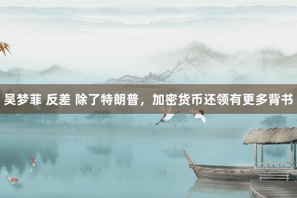 吴梦菲 反差 除了特朗普，加密货币还领有更多背书