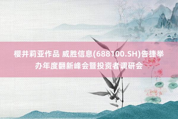 樱井莉亚作品 威胜信息(688100.SH)告捷举办年度翻新峰会暨投资者调研会
