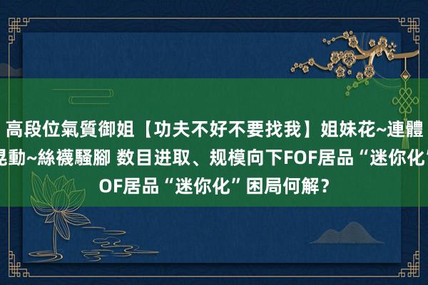 高段位氣質御姐【功夫不好不要找我】姐妹花~連體絲襪~大奶晃動~絲襪騷腳 数目进取、规模向下FOF居品“迷你化”困局何解？