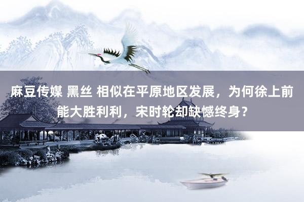 麻豆传媒 黑丝 相似在平原地区发展，为何徐上前能大胜利利，宋时轮却缺憾终身？