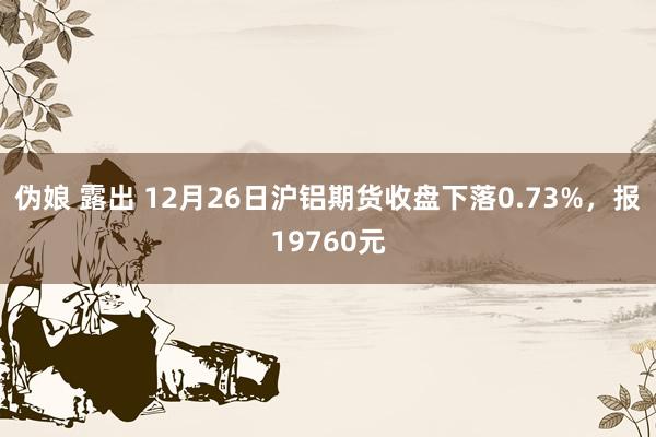 伪娘 露出 12月26日沪铝期货收盘下落0.73%，报19760元