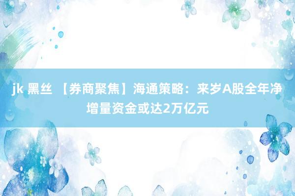 jk 黑丝 【券商聚焦】海通策略：来岁A股全年净增量资金或达2万亿元