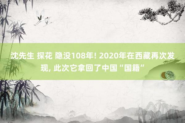 沈先生 探花 隐没108年! 2020年在西藏再次发现, 此次它拿回了中国“国籍”