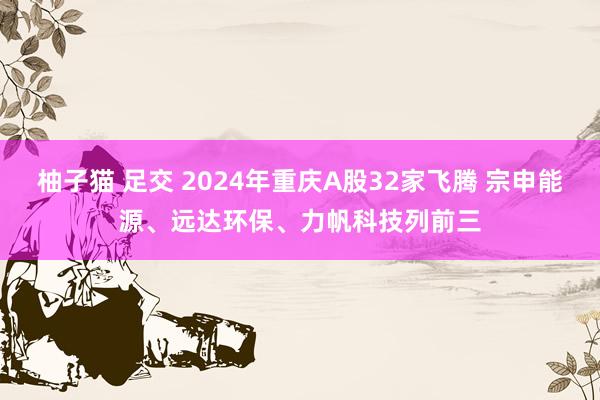 柚子猫 足交 2024年重庆A股32家飞腾 宗申能源、远达环保、力帆科技列前三