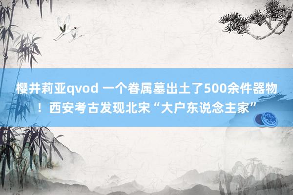 樱井莉亚qvod 一个眷属墓出土了500余件器物！西安考古发现北宋“大户东说念主家”