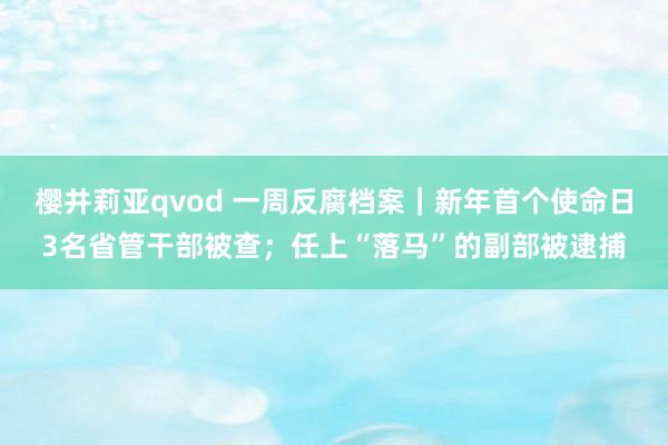 樱井莉亚qvod 一周反腐档案｜新年首个使命日3名省管干部被查；任上“落马”的副部被逮捕