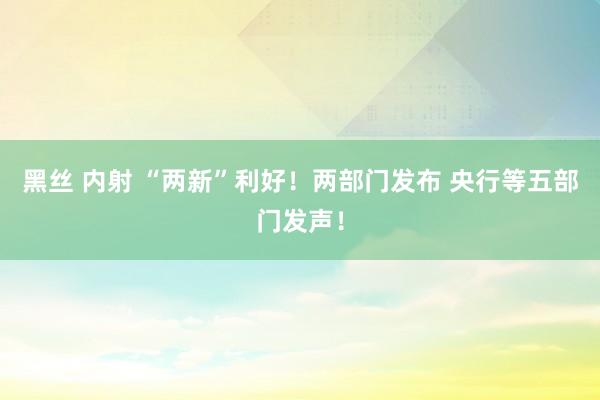 黑丝 内射 “两新”利好！两部门发布 央行等五部门发声！