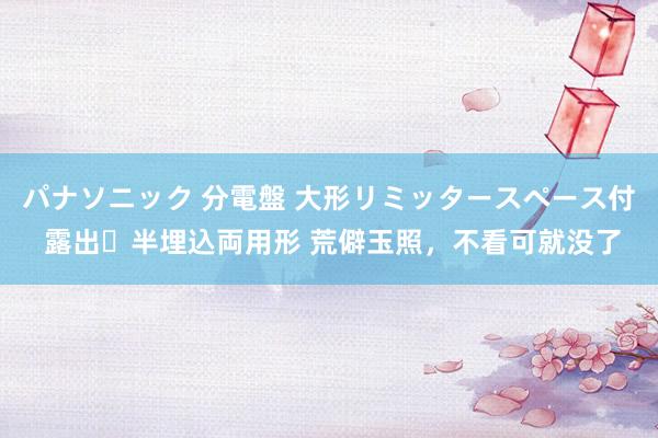 パナソニック 分電盤 大形リミッタースペース付 露出・半埋込両用形 荒僻玉照，不看可就没了