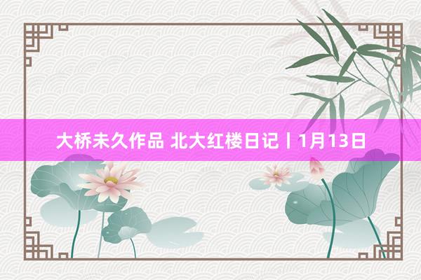 大桥未久作品 北大红楼日记丨1月13日