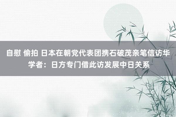 自慰 偷拍 日本在朝党代表团携石破茂亲笔信访华 学者：日方专门借此访发展中日关系