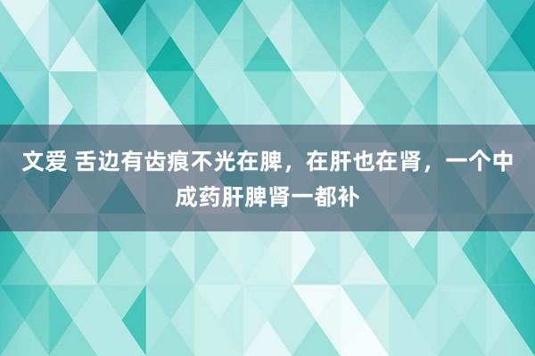 文爱 舌边有齿痕不光在脾，在肝也在肾，一个中成药肝脾肾一都补