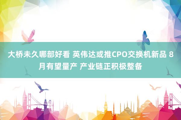 大桥未久哪部好看 英伟达或推CPO交换机新品 8月有望量产 产业链正积极整备
