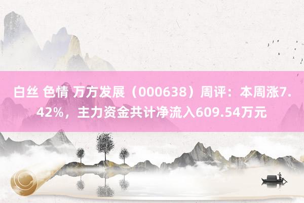 白丝 色情 万方发展（000638）周评：本周涨7.42%，主力资金共计净流入609.54万元