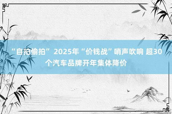 “自拍偷拍” 2025年“价钱战”哨声吹响 超30个汽车品牌开年集体降价
