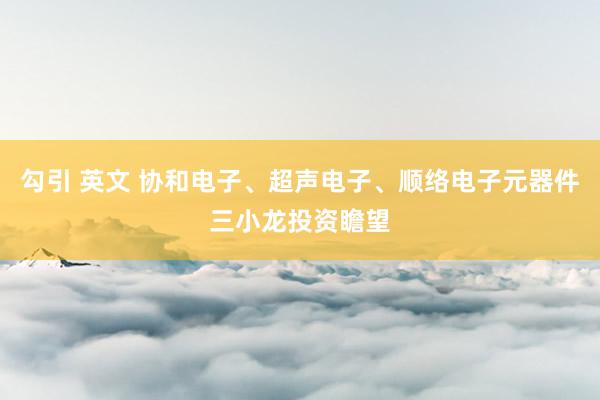 勾引 英文 协和电子、超声电子、顺络电子元器件三小龙投资瞻望
