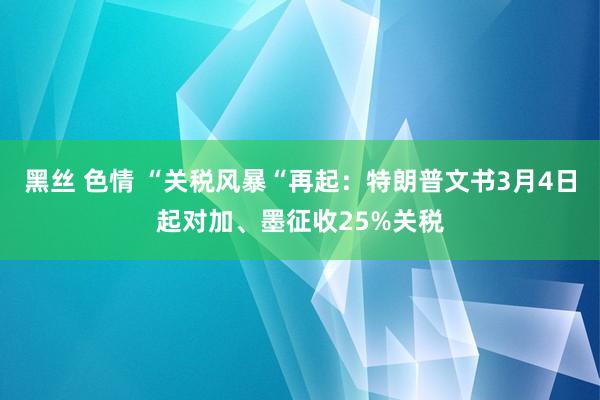 黑丝 色情 “关税风暴“再起：特朗普文书3月4日起对加、墨征收25%关税