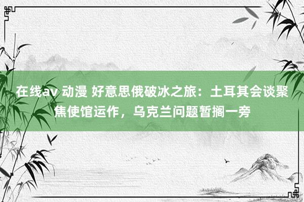 在线av 动漫 好意思俄破冰之旅：土耳其会谈聚焦使馆运作，乌克兰问题暂搁一旁