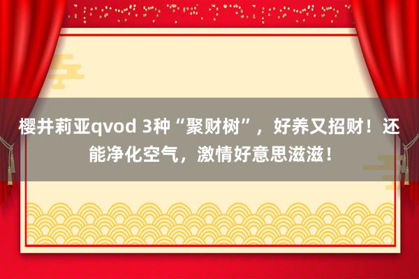 樱井莉亚qvod 3种“聚财树”，好养又招财！还能净化空气，激情好意思滋滋！