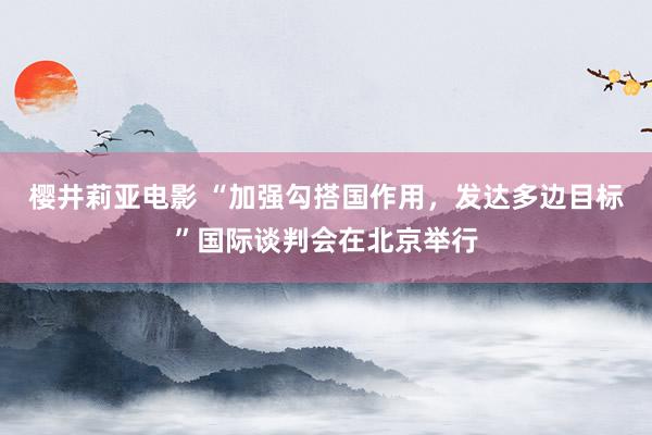 樱井莉亚电影 “加强勾搭国作用，发达多边目标”国际谈判会在北京举行