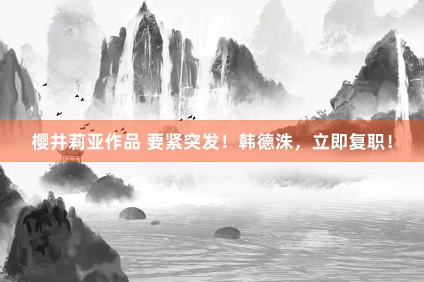 樱井莉亚作品 要紧突发！韩德洙，立即复职！