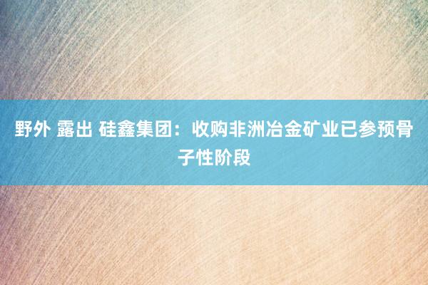 野外 露出 硅鑫集团：收购非洲冶金矿业已参预骨子性阶段