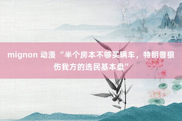 mignon 动漫 “半个房本不够买辆车，特朗普狠伤我方的选民基本盘”