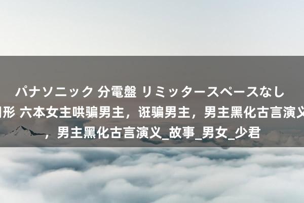 パナソニック 分電盤 リミッタースペースなし 露出・半埋込両用形 六本女主哄骗男主，诳骗男主，男主黑化古言演义_故事_男女_少君