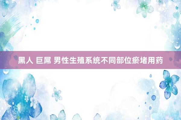 黑人 巨屌 男性生殖系统不同部位瘀堵用药