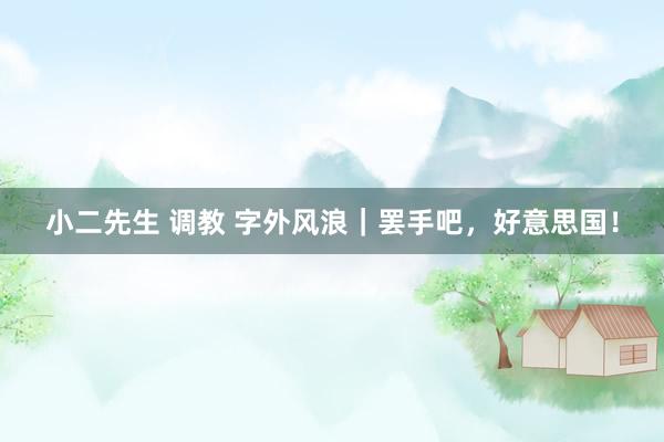 小二先生 调教 字外风浪｜罢手吧，好意思国！