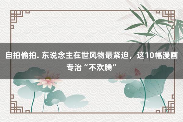 自拍偷拍. 东说念主在世风物最紧迫，这10幅漫画专治“不欢腾”