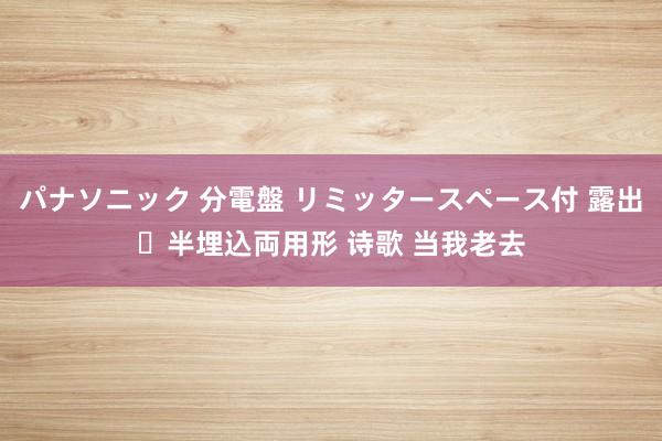 パナソニック 分電盤 リミッタースペース付 露出・半埋込両用形 诗歌 当我老去