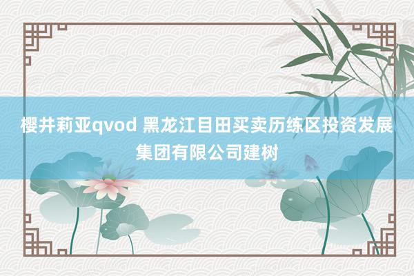 樱井莉亚qvod 黑龙江目田买卖历练区投资发展集团有限公司建树