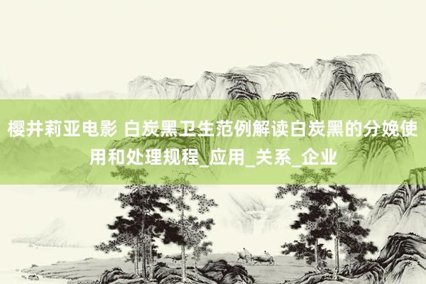樱井莉亚电影 白炭黑卫生范例解读白炭黑的分娩使用和处理规程_应用_关系_企业