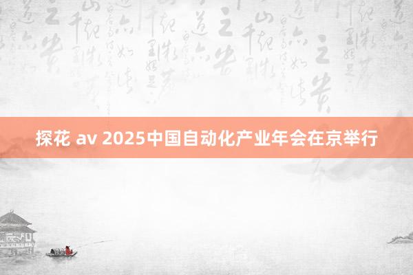 探花 av 2025中国自动化产业年会在京举行