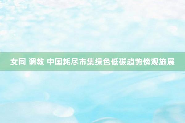 女同 调教 中国耗尽市集绿色低碳趋势傍观施展