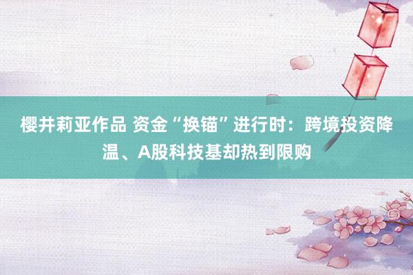 樱井莉亚作品 资金“换锚”进行时：跨境投资降温、A股科技基却热到限购