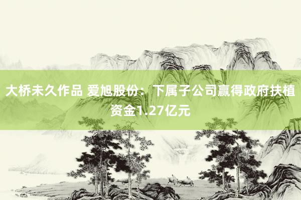 大桥未久作品 爱旭股份：下属子公司赢得政府扶植资金1.27亿元