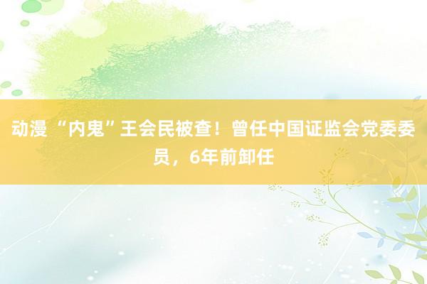 动漫 “内鬼”王会民被查！曾任中国证监会党委委员，6年前卸任