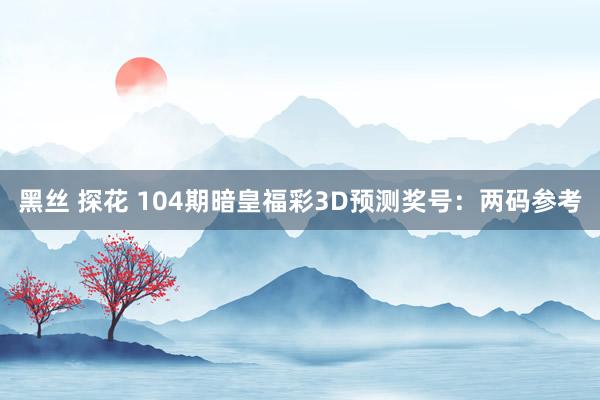 黑丝 探花 104期暗皇福彩3D预测奖号：两码参考