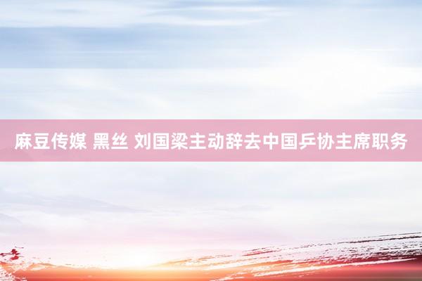 麻豆传媒 黑丝 刘国梁主动辞去中国乒协主席职务