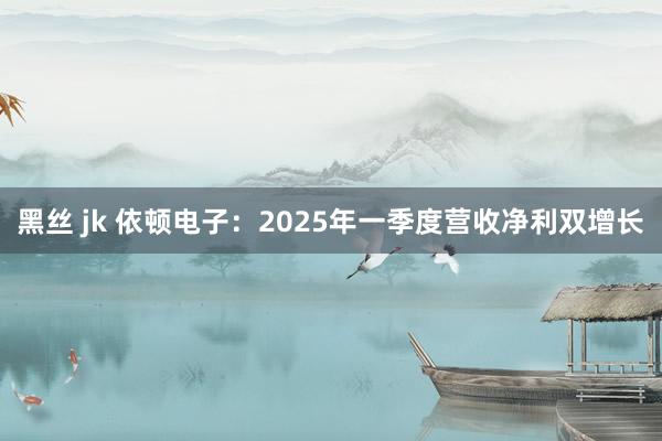 黑丝 jk 依顿电子：2025年一季度营收净利双增长