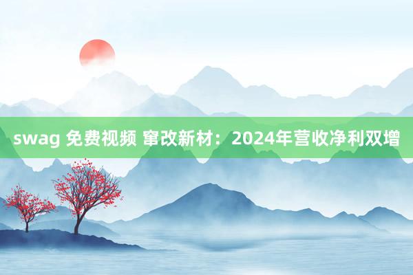 swag 免费视频 窜改新材：2024年营收净利双增